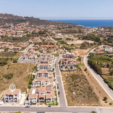 Mandarin 6 * Àrbatax